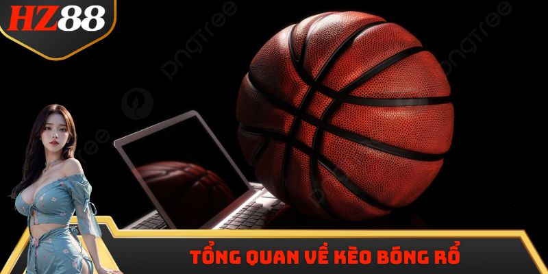 Tổng quan các thông tin về kèo bóng rổ